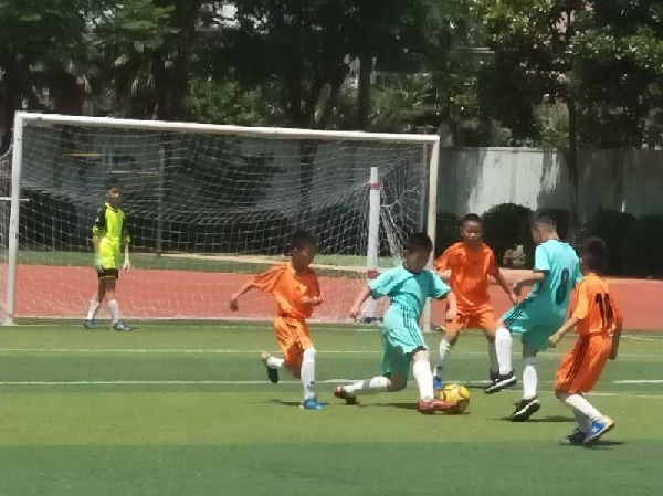 青浦佳禾小学足球队在区小学生足球赛中夺得小
